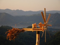 Herbst in der Südsteiermark